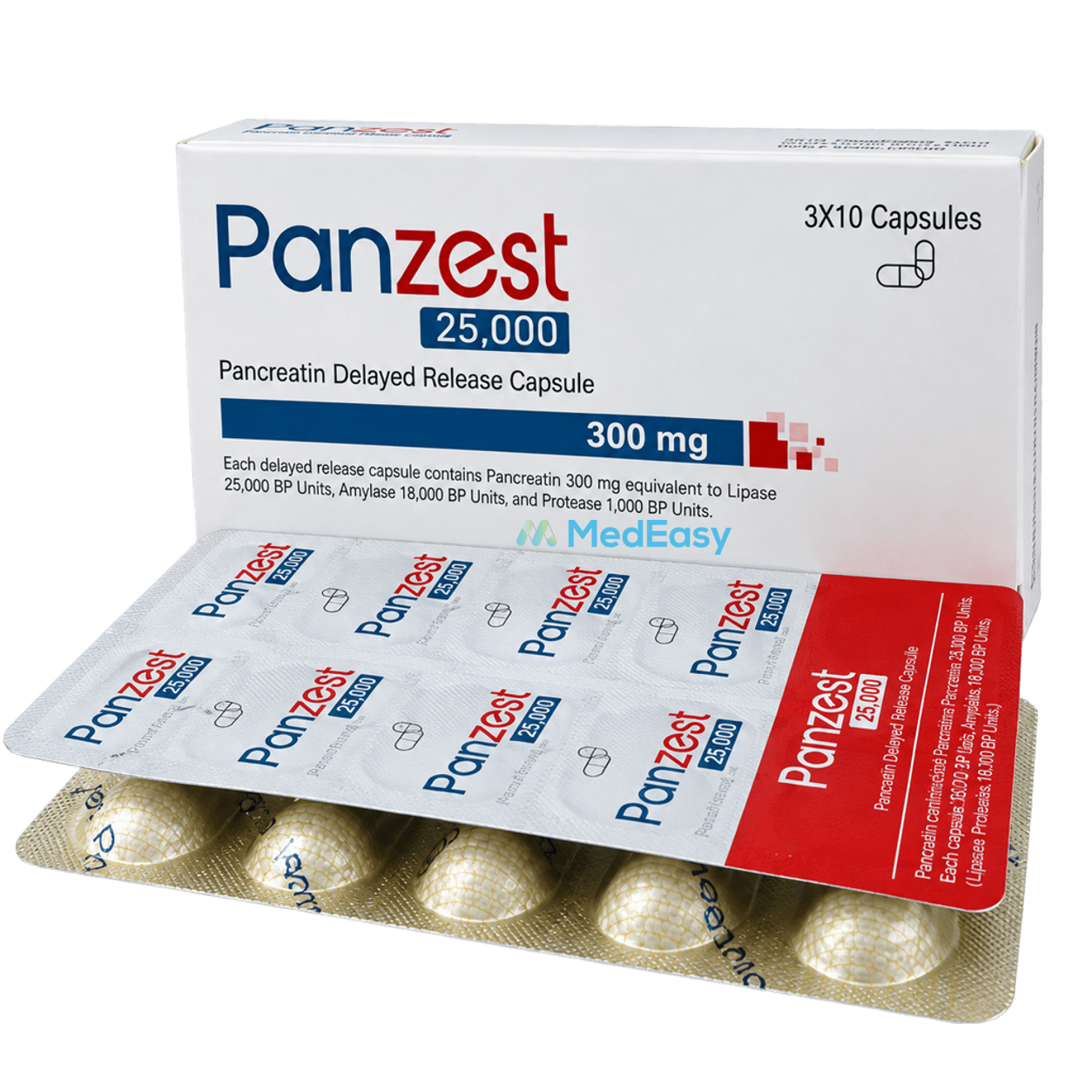 Panzest 25000