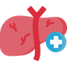 Hepatology