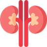 Nephrology