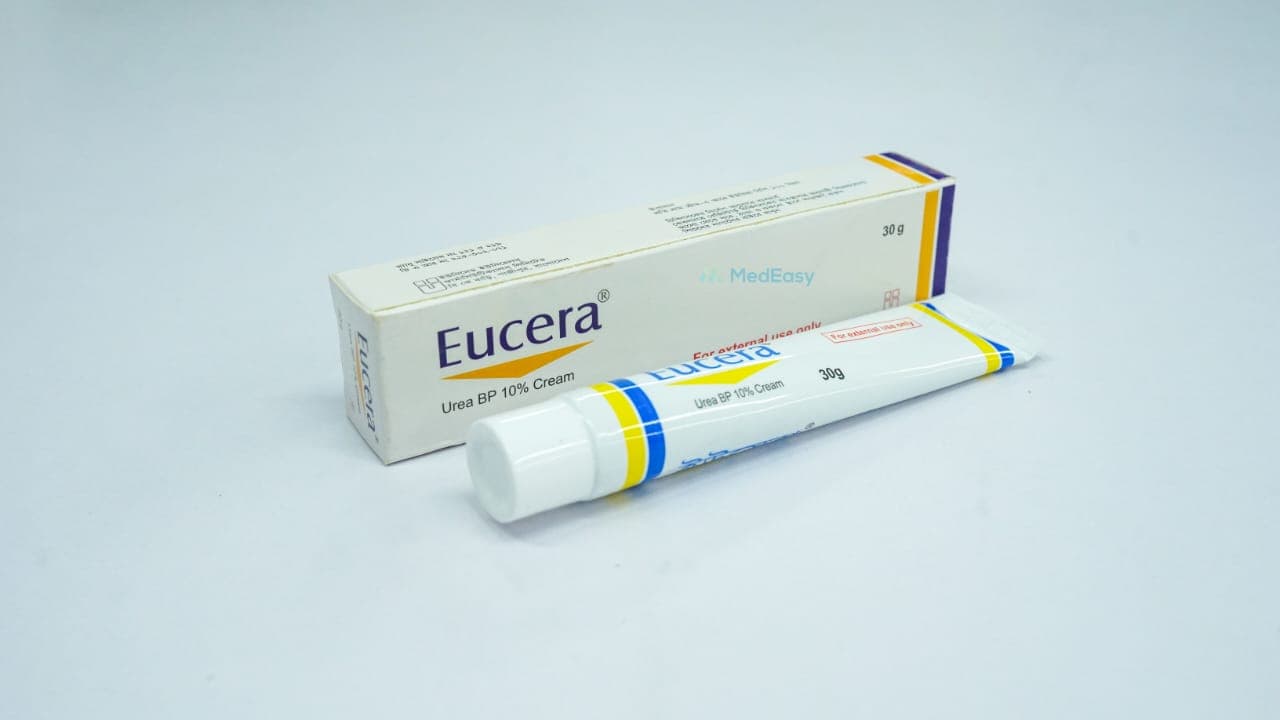 Eucera