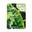 3W Clinic Fresh Green Tea Mask Sheet 23g