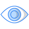 Eye Issues