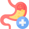 Stomach