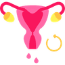 Irregular Period