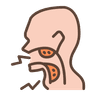 Tonsil